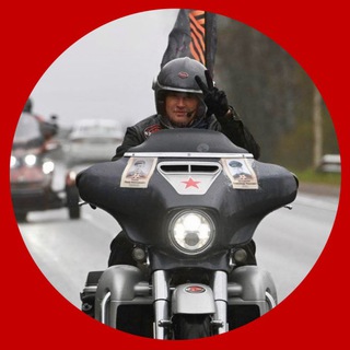 Логотип Телеграм канала . Бесплатная аналитика Telegram каналов