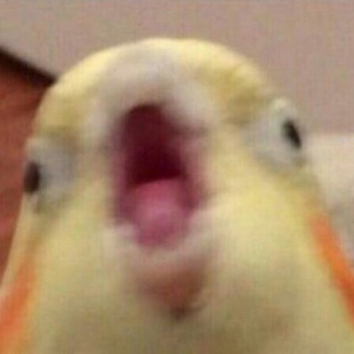 Логотип Телеграм канала Мемы | Юмор | Гифки. Бесплатная аналитика Telegram каналов