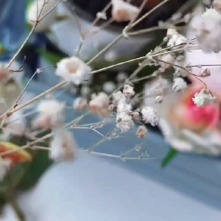 Логотип Телеграм канала beauty_allboss. Бесплатная аналитика Telegram каналов