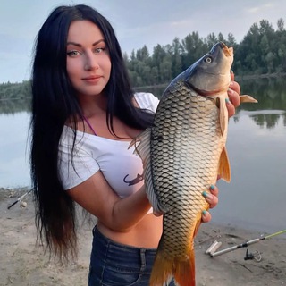 Telegram Channel logo rybalka_okhotnik. Free Telegram Channel Analytics