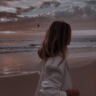 Логотип Телеграм канала ~ ᗯᗩᖇᗞ_ورد~💙🦋. Бесплатная аналитика Telegram каналов