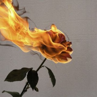 Telegram Channel logo RnB Music 🥀. Free Telegram Channel Analytics