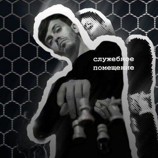 Логотип Телеграм канала . Бесплатная аналитика Telegram каналов