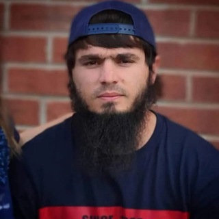 Логотип Телеграм канала . Бесплатная аналитика Telegram каналов