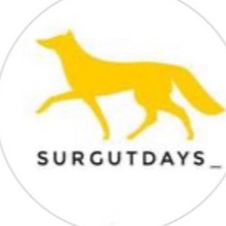 Telegram Channel logo surgutdays. Free Telegram Channel Analytics