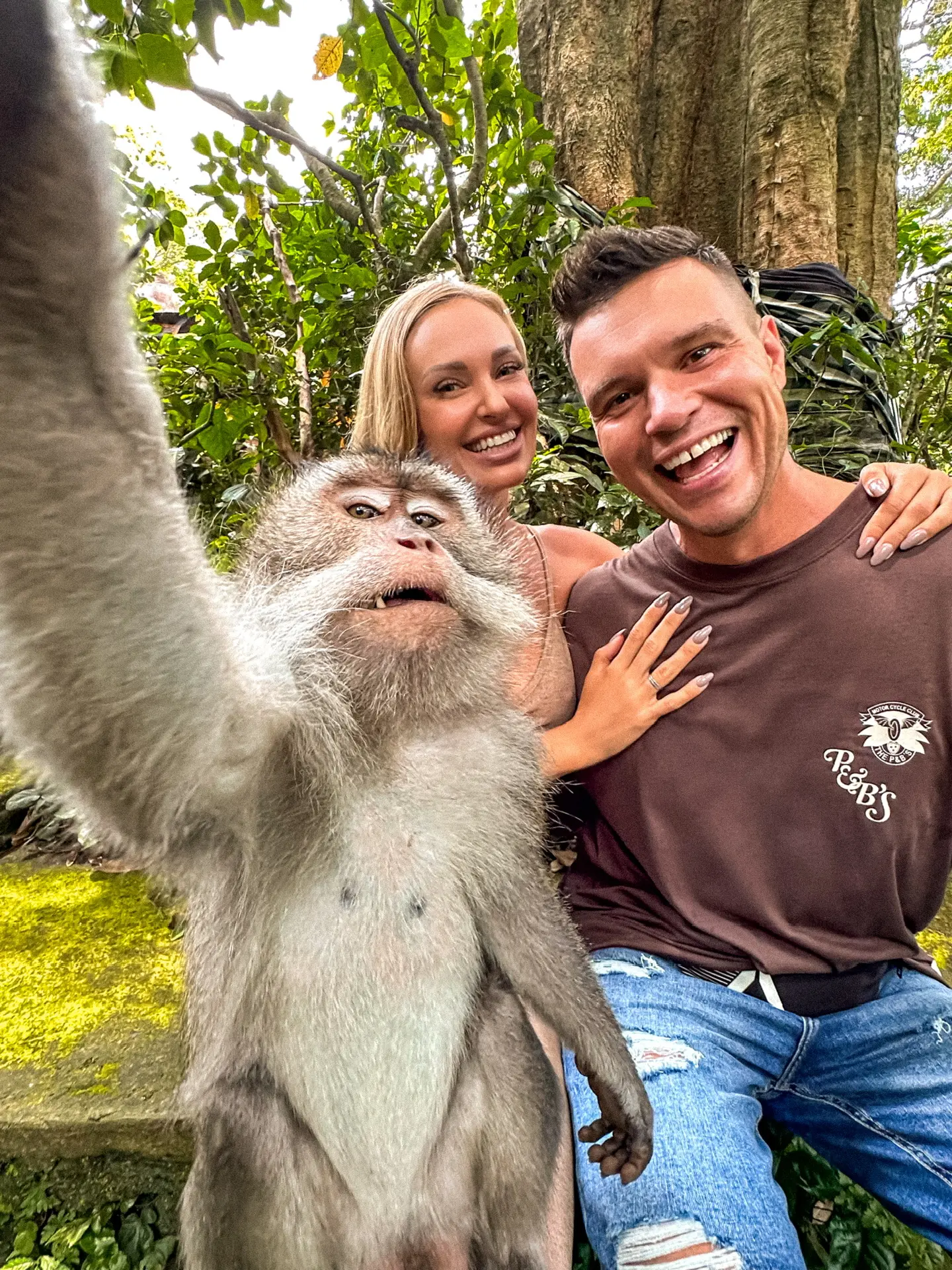 Telegram Channel logo votetootdyh. Free Telegram Channel Analytics