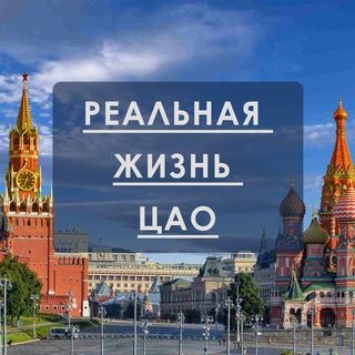 Логотип Телеграм канала . Бесплатная аналитика Telegram каналов