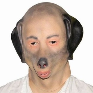 Логотип Телеграм канала собака сутулая. Бесплатная аналитика Telegram каналов