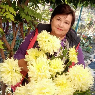 Логотип Телеграм канала valechkatetechka. Бесплатная аналитика Telegram каналов