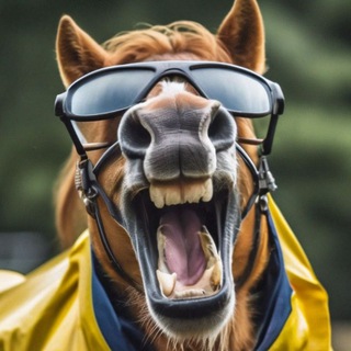 Логотип Телеграм канала konvalyalsya. Бесплатная аналитика Telegram каналов