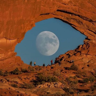 Логотип Телеграм канала Real Ermolive. Бесплатная аналитика Telegram каналов