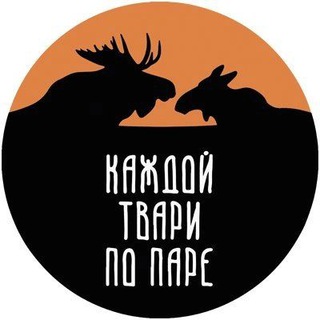 Telegram Channel logo kazdoytvaripopare. Free Telegram Channel Analytics