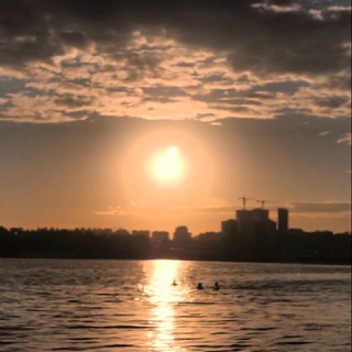 Логотип Телеграм канала delfinvrn. Бесплатная аналитика Telegram каналов