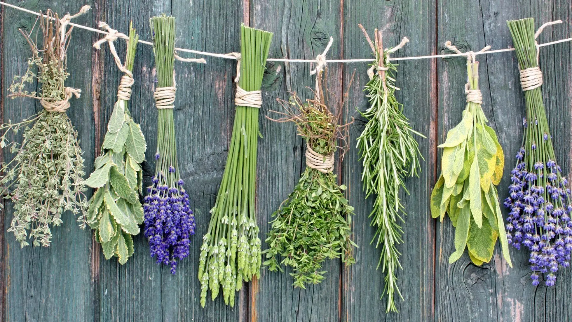 Логотип Телеграм канала club220487404. Бесплатная аналитика Telegram каналов