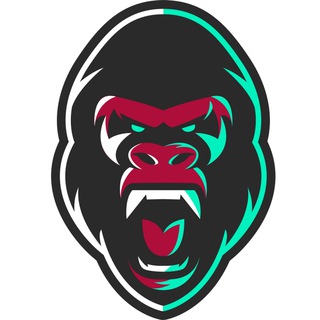 Telegram Channel logo The Kong Crypto. Free Telegram Channel Analytics