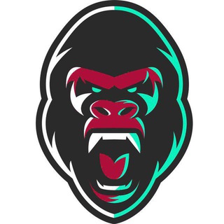 Telegram Channel logo Crypto Kong. Free Telegram Channel Analytics