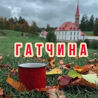 Логотип Телеграм канала gatchina_inf. Бесплатная аналитика Telegram каналов