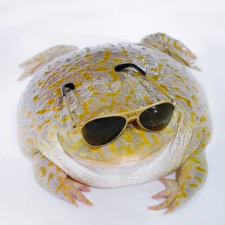 Логотип Телеграм канала gabimoi. Бесплатная аналитика Telegram каналов