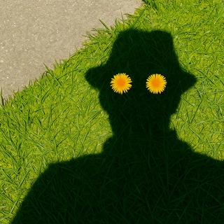 Telegram Channel logo pocketeternity. Free Telegram Channel Analytics