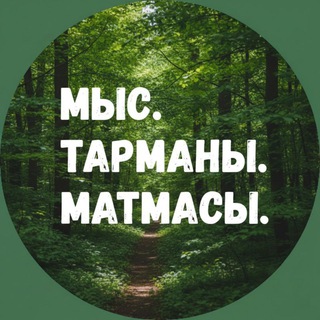 Telegram Channel logo mmt72rus. Free Telegram Channel Analytics