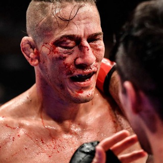 Логотип Телеграм канала . Бесплатная аналитика Telegram каналов