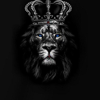 Telegram Channel logo MRBENJA12. Free Telegram Channel Analytics