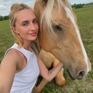 Telegram Channel logo horseretreat. Free Telegram Channel Analytics