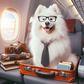 Логотип Телеграм канала petshat360. Бесплатная аналитика Telegram каналов