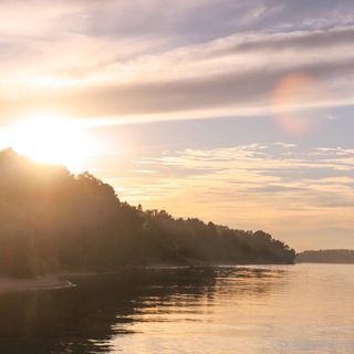 Telegram Channel logo sensesoflight. Free Telegram Channel Analytics