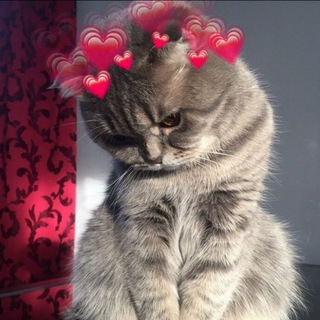 Логотип Телеграм канала vibebox. Бесплатная аналитика Telegram каналов