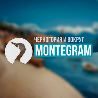 Логотип Телеграм канала . Бесплатная аналитика Telegram каналов