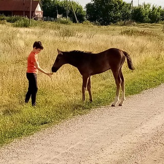 Логотип Телеграм канала istorii_Irini_As. Бесплатная аналитика Telegram каналов