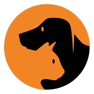 Telegram Channel logo pitomcy_vetandlife. Free Telegram Channel Analytics