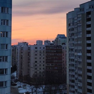 Логотип Телеграм канала . Бесплатная аналитика Telegram каналов
