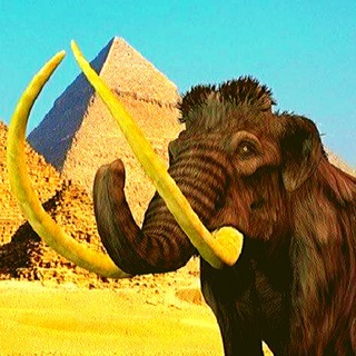 Логотип Телеграм канала . Бесплатная аналитика Telegram каналов