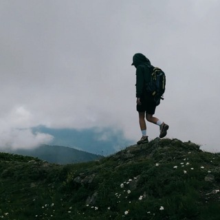 Логотип Телеграм канала . Бесплатная аналитика Telegram каналов