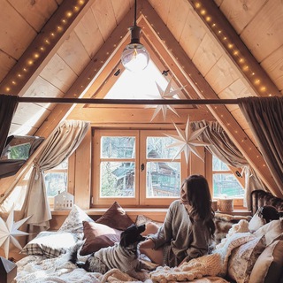 Логотип Телеграм канала . Бесплатная аналитика Telegram каналов