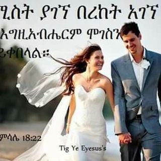 Telegram Channel logo . Free Telegram Channel Analytics