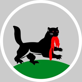 Telegram Channel logo +cGZLq8CCG51mYTdi. Free Telegram Channel Analytics