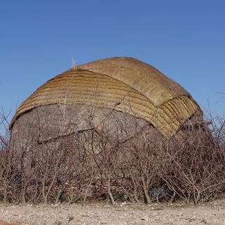 Telegram Channel logo Baro Afkaaga Hodankaa. Free Telegram Channel Analytics