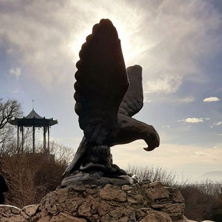 Логотип Телеграм канала kmvlive_info. Бесплатная аналитика Telegram каналов