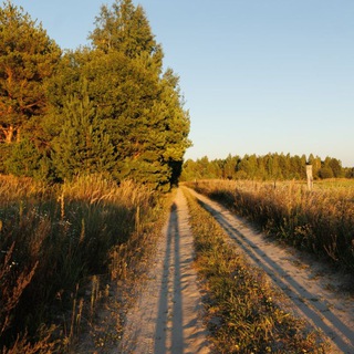 Логотип Телеграм канала . Бесплатная аналитика Telegram каналов