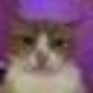 Логотип Телеграм канала bitterstrangetg. Бесплатная аналитика Telegram каналов