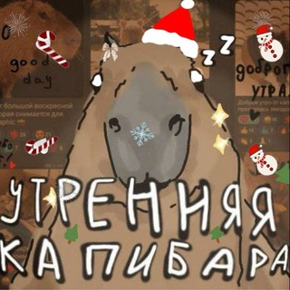 Логотип Телеграм канала Утренняя капибара. Бесплатная аналитика Telegram каналов