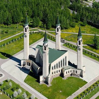 Telegram Channel logo +HpPrNqer1ddlYmZi. Free Telegram Channel Analytics