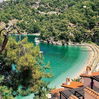 Логотип Телеграм канала fethie_ru. Бесплатная аналитика Telegram каналов