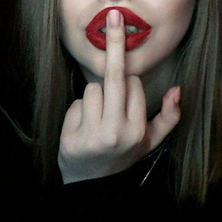 Логотип Телеграм канала . Бесплатная аналитика Telegram каналов