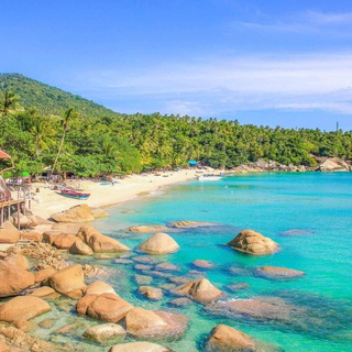 Telegram Channel logo GlavPangan. Free Telegram Channel Analytics