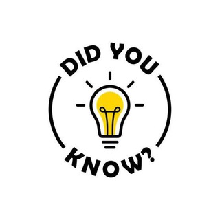 Telegram Channel logo dailyrandomfactsx. Free Telegram Channel Analytics