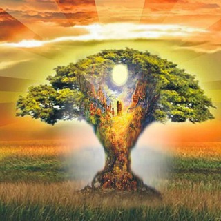 Telegram Channel logo SilaRoda_Moego. Free Telegram Channel Analytics